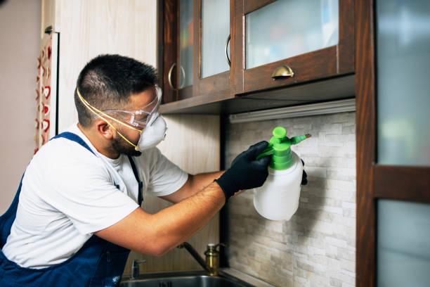 Best Mosquito Control Services  in Mead Valley, CA