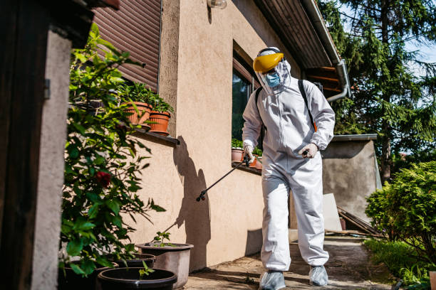 Best Affordable Pest Control Services  in Mead Valley, CA