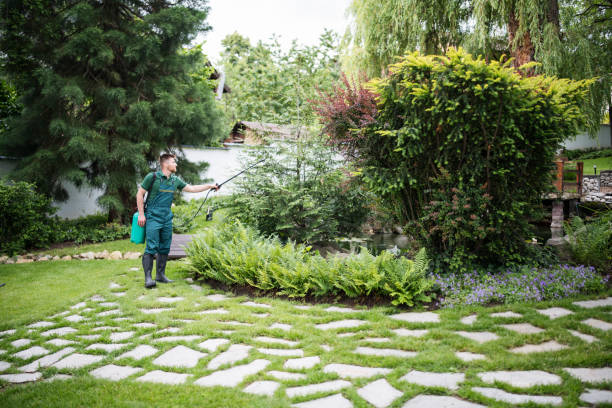 Best Best Pest Control Companies  in Mead Valley, CA