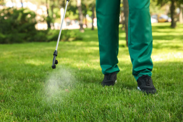 Best Best Pest Control Companies  in Mead Valley, CA